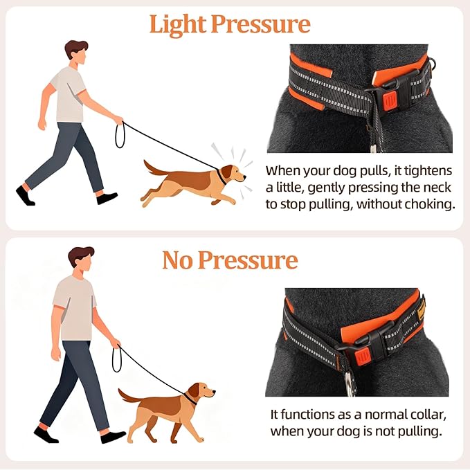 Mayerzon 1.5" Wide Martingale Collar for Large Medium Small Dogs Pitbull German Shepherd, No Pull Reflective Slip & Martingale Dog Collar with Buckle Soft Padded for Walking Training(Orange, XL)