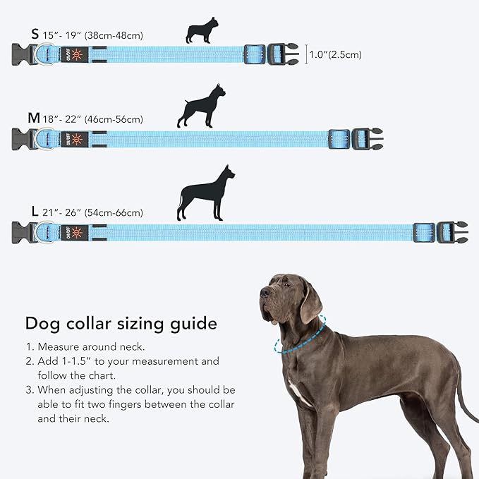 Weesiber Light Up Dog Collars - Rechargeable LED Collar - Reflective Adjustable Dog Lights for Night Walking (Blue, Medium)