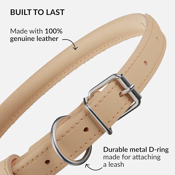 CollarDirect Rolled Leather Dog Collar, Soft Padded Round Puppy Collar, Handmade Genuine Leather Collar Dog Small Large Cat Collars 13 Colors (8-11 Inch, Beige Smooth)