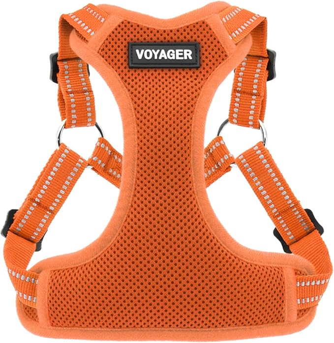 Best Pet Supplies Voyager Mesh Dog Breathable Harness Reflective Stitching, All Weather Adjustable for Walking Training, or Running - Heavy Duty & Durable, Harness (Orange), XS