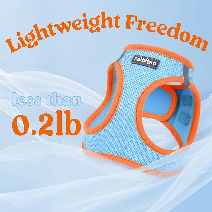 rabbitgoo Dog Harness Small Sized and Leash Set, Step-in Breathable Pet Harness, Soft Walking Reflective Puppy Vest for Small Dogs, Light Blue & Orange, XXS