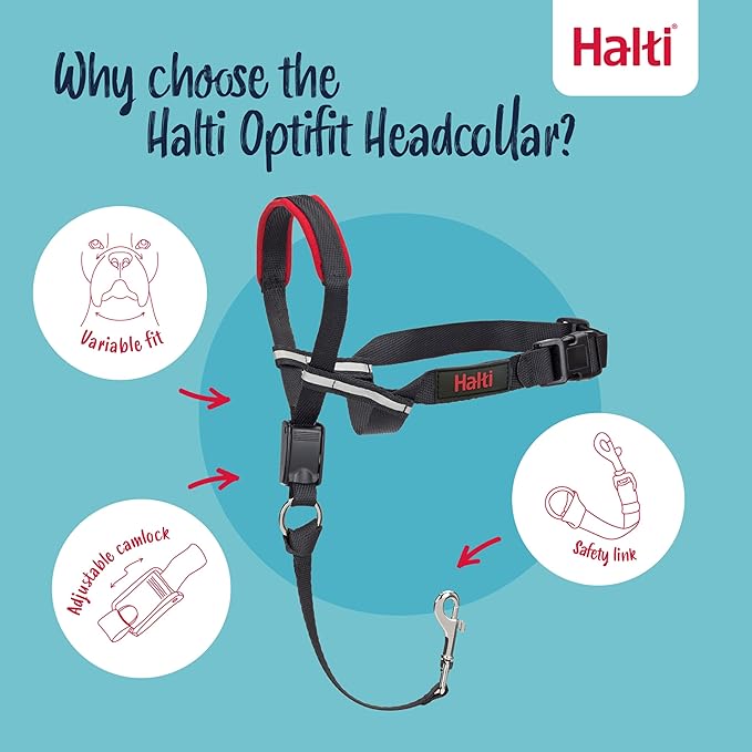 Halti Optifit Headcollar - Stop Your Dog Pulling on the Leash. Adjustable, Reflective and Lightweight, with Padded Nose Band. Dog Training Anti-Pull Collar for Large Dogs (Size Large)