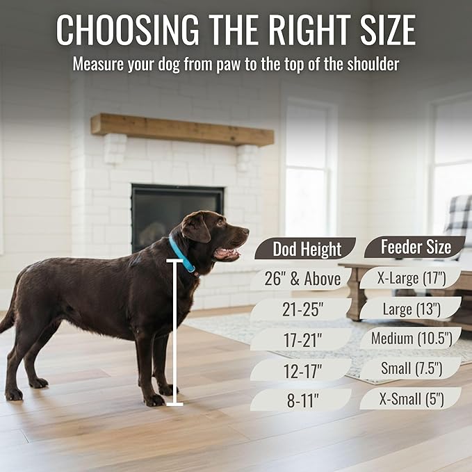 GTW Personalized Elevated Dog Bowl Stand for Large, Medium, Small, X-Small Dogs - Stainless Steel Food and Water Bowls - Raised Dog Dish with Internal Storage (Medium, Blue)