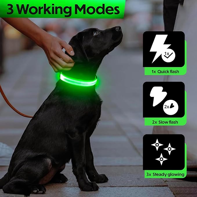 Light Up Dog Collar – Reflective, Adjustable, Rechargeable Electronic Glow Pet Collars – Bright, Comfortable, High Visibility LED Dog Collar for Night Safety, Outdoor Walk, Flashing Fun, Green, Small