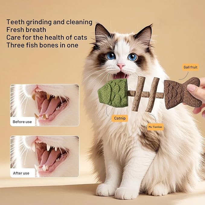 Interactive Cat Toy Set, 6-Piece Variety Pack with Plush Fish, Catnip Fish Skeleton, Feather Mouse Ball, Wood Puzzle Ball, Sisal Catnip Stick, Crinkle Baseball for Indoor Cats