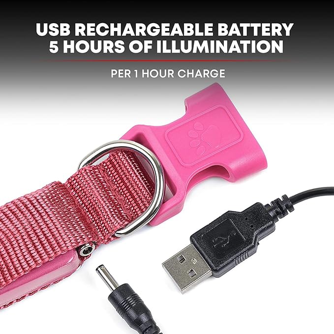 ILLUMISEEN LED Dog Collar USB Rechargeable - Bright & High Visibility Lighted Glow Collar for Pet Night Walking - Weatherproof, in 6 Colors & 6 Sizes (Pink XX-Small)