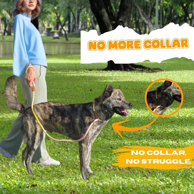 Slip Leads for Dogs, Dog Training Leash Heavy Duty No Pull Dog Leash Comfortable Strong Loop Rope Nylon for Large Medium Small Dogs Puppy… (Pink & Yellow, Large (5 Foot x 5/16") (26-45 lbs))