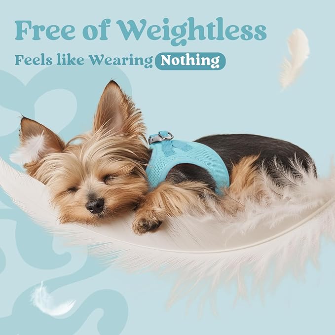 rabbitgoo Small Dog Harness, Step-in Soft Mesh Puppy Vest with Safety Buckle, Breathable Reflective Pet Harness for Extra Small Dogs, Mint Blue XXS