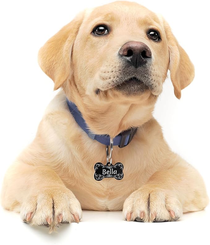 Dog Tags Engraved Pet - GISUREY Dog Tag with 2 Spilt Rings - Stainless Steel and Double-Sided Engraving - Personalized Dog Cat Name Tag with Various Designs, Bone Floral