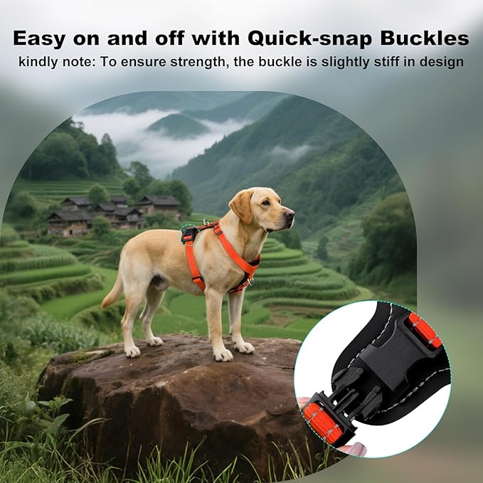 Plutus Pet Adjustable No Pull Dog Harness with Leather Accents, Heavy Duty Reflective Nylon Vest for Training, Hiking, Easy Walk Harness for Small, Medium, Large Dogs (Orange, XL)