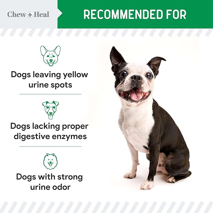 Dog Urine Neutralizer for Lawn, 120 Soft Chews - Green Grass Saver - Eliminates Burns and Yellow Spots - Female and Male Dog Pee Grass Repair with Natural Ingredients