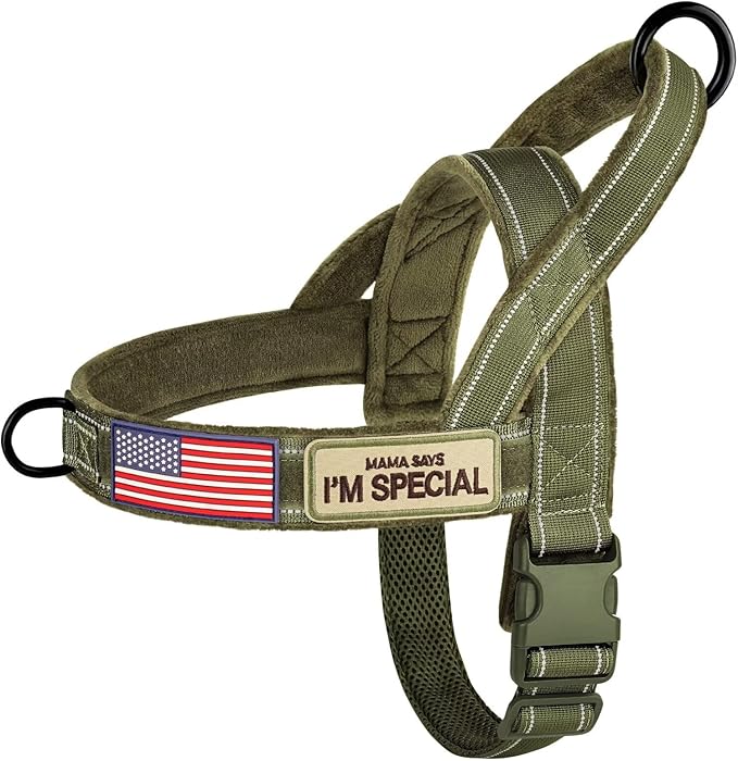 Forestpaw No Pull Dog Harness with Large Handle,Slip on Reflective Vest with Quick Release Buckle,Comfortable Flannel Lining for Medium Large Dogs Walking Training (Includes 3 Patches),Green L