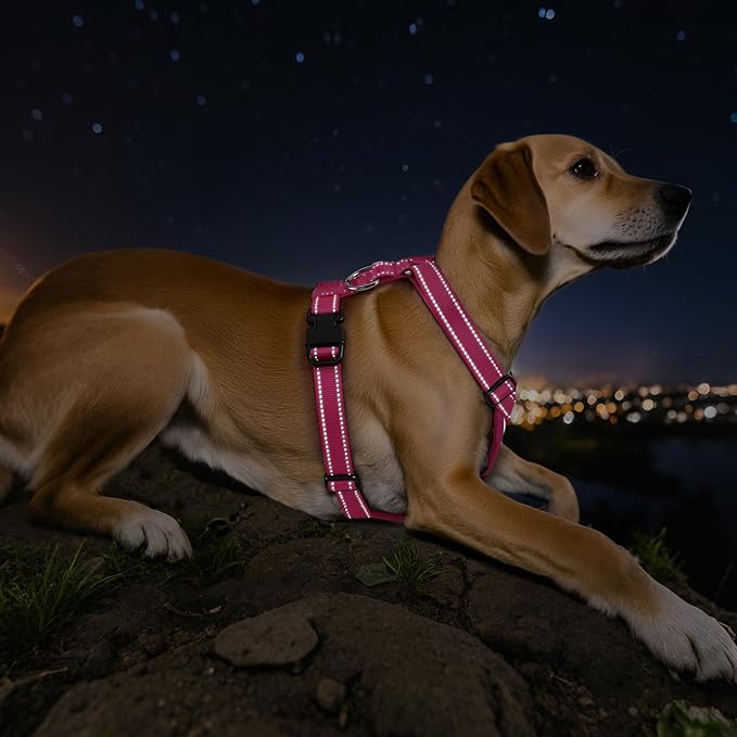 VavoPaw Dog Seat Belt Harness for Car, Dog Car Harness Adjustable Mesh Breathable & Dog Seatbelt Safety Tether with Elastic Bungee for Small Medium Large Pets(Rose, M)