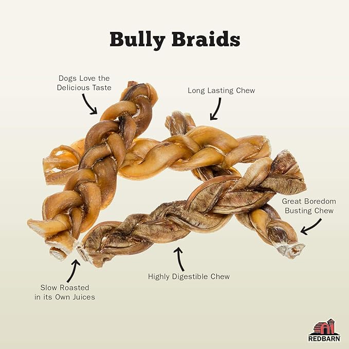 Redbarn 12" Premium Braided Bully Sticks for Dogs - Natural Single Ingredient Braid Treats, Long-Lasting Chews Made from Slow Roasted Beef, Rawhide-Free and Low Odor – 2 Count