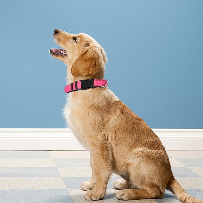 Reflective Dog Collar, Adjustable Soft Neoprene Padded Nylon Pet Collars with Buckle for Large Dogs, Hotpink,L