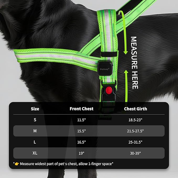 PetIsay LED Light Up Dog Harness - USB-C Rechargeable, IPX7 Waterproof, Reflective, No Pull Dog Vest with Soft Padded Handle for Night Walking(Blue, L)