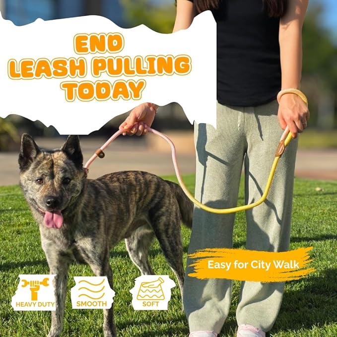 Slip Leads for Dogs, Dog Training Leash Heavy Duty No Pull Dog Leash Comfortable Strong Loop Rope Nylon for Large Medium Small Dogs Puppy… (Pink & Yellow, Large (5 Foot x 5/16") (26-45 lbs))