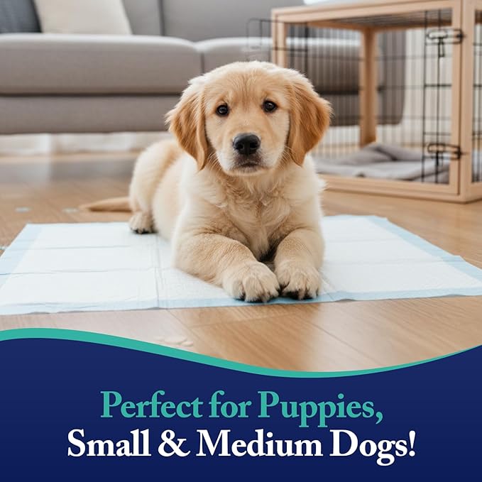 BPG Puppy Pads 100 Count – Super Absorbent Training Pads for Dogs and Puppies, Leak-Proof Protection, Odor-Neutralizing Disposable Dog Pee Pads Essentials, 22"x22"- BROOKLYN PET GEAR