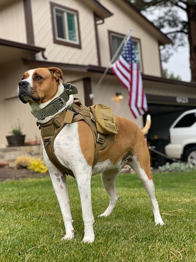 Tactical Dog Collar with Handle - Military Adjustable Dog Training Collar Soft Nylon and Heavy Duty Metal Buckle for Medium Large Dogs - with Patch (Green with Patch, X-Large)