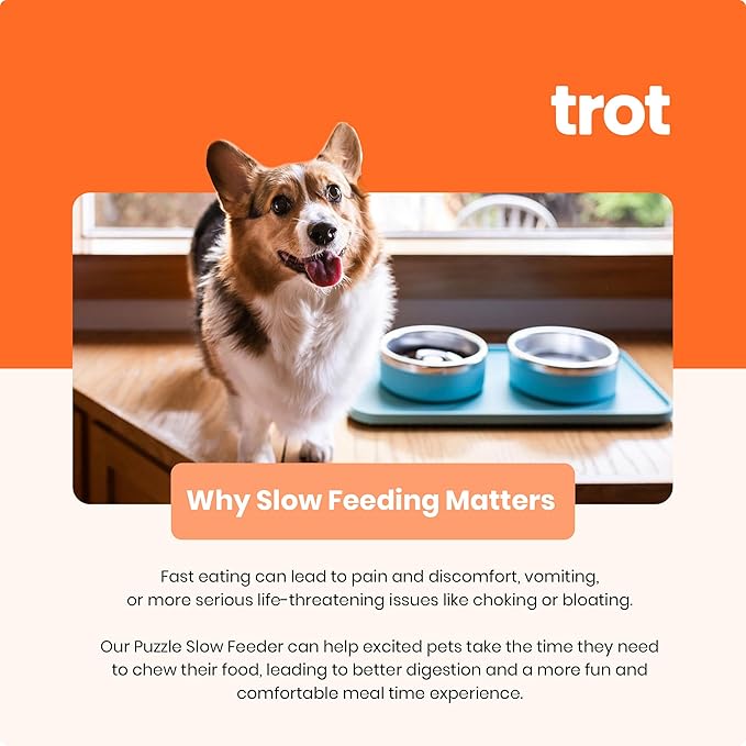 Trot Pets Premium Dog Bowls | Stainless Steel Bowl Set for Small, Medium, or Large Dogs | Non-Slip Food and & Water Slow Feeder | Durable, BPA-Free, Anti-Skid, Dishwasher Safe (Charcoal, Small)