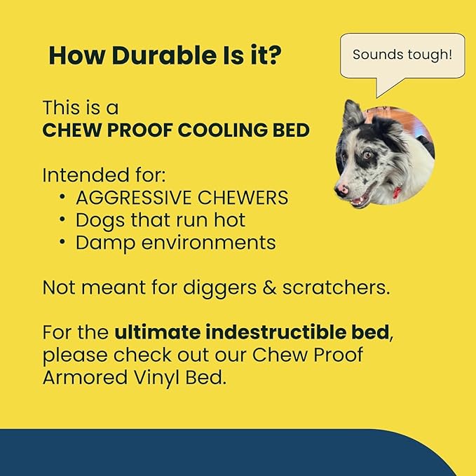 K9 Ballistics Chew Proof Elevated Outdoor Cooling Cot Bed for Medium Dogs - Virtually Indestructible, Preassembled, Withstands Aggressive Chewers - M, Black Mesh