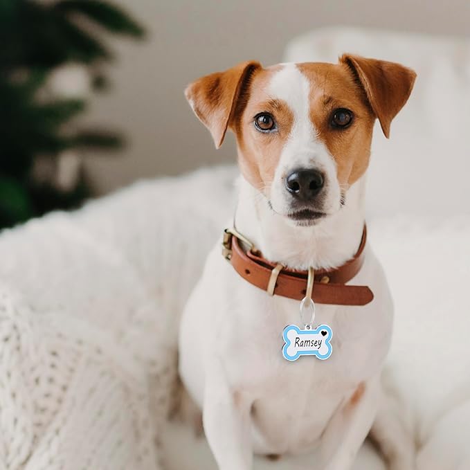 Personalized Deep Engraving Pet ID Tags Engraved Both Sides Bone Shape Custom Dog Tag Stainless Pet ID Tag Engraved Heart Dog Tags for Large Small Dogs Cats (Sky Blue, Small)