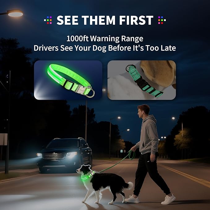 LED Dog Collar with Metal Buckle - USB Rechargeable Glow Collar for Dogs, Waterproof Light Up Dog Collar w/Reflective Strips - Adjustable Night Safety Collars by PetIsay(Pink,Medium)