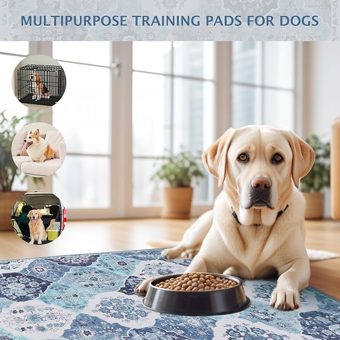 IEUUMLER Washable Pee Pads for Dogs, 2 Pack Reusable Pee Pads for Dogs Non-Slip Grip, Super Absorbent Waterproof Puppy Pads for Potty Training, Playpen, Crate, Whelping Box EU011 (Blue,36" x 36")