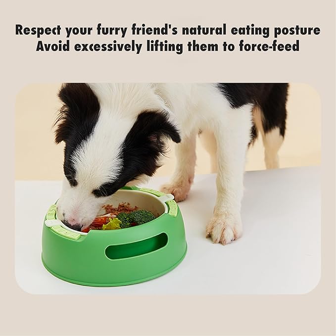 Silicone Slow Feeder Bowl, 1.2L Capacity, Suitable for Small, Medium, and Large Dogs. Interchangeable Inner and Outer Bowls. Food-Grade Material. Ideal for Dogs That eat Too Quickly.