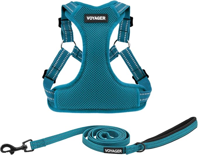 Best Pet Supplies Voyager Mesh Dog Breathable Harness Reflective Stitching, All Weather Adjustable for Walking Training, or Running - Heavy Duty & Durable, Harness Leash Set (Turquoise), XL