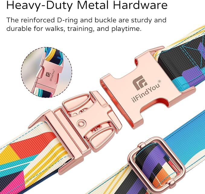 Dog Collar for Medium Dogs, Detroit Landscape Pattern, Heavyweight Polyester Adjustable Puppy Collar with Secure Metal Buckle，Suitable for Female Dogs M
