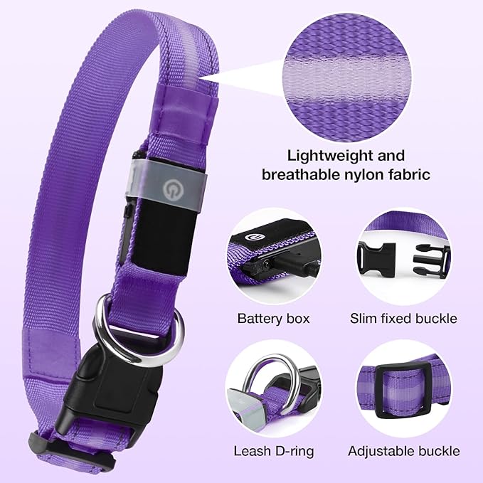 Fiveda Light Up Dog Collar, USB Rechargeable 6 Modes, Waterproof Charging Port, Long Lasting LED Collar - Adjustable Nylon Reflective for Dogs, Sizes S/M/L (7/9/11 Lights) - Purple, S