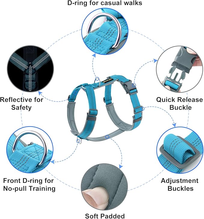 Plutus Pet No Pull Dog Harness, Adjustable Nylon Harness with Soft Padding, Reflective and Heavy Duty Dog Harness for Small, Medium, Large Dogs(Cyan, L)