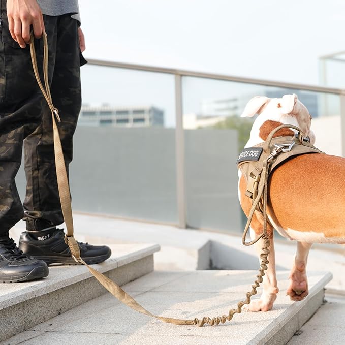 EXCELLENT ELITE SPANKER Tactical Dog Leash Heavy Duty 5-6FT Adjustable No Pull Military Bungee Dog Leash Elastic Leads Rope with 2 Padded Control Handle for Medium Large X-Large Dogs(MCP)