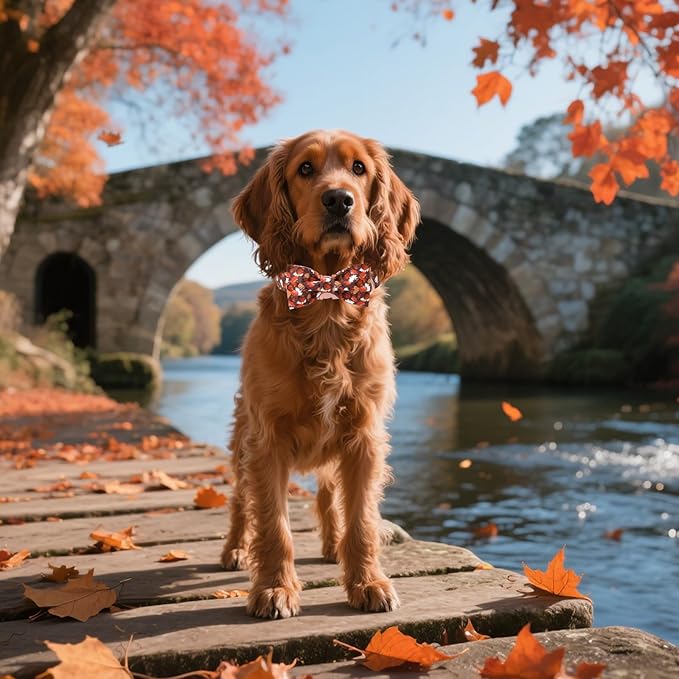 Unique style paws Cotton Dog Collar with Bow Autumn Puppy Collar with Hazelnut Maple for Small Medium Large Boys Girls Dogs