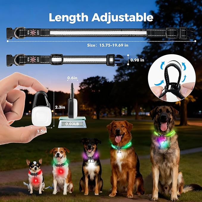 Light Up Dog Collar with Dogs Light Set,2 Pack Adjustable Rechargeable LED Dog Collar Light for Night Walking for Small Medium Large Pet