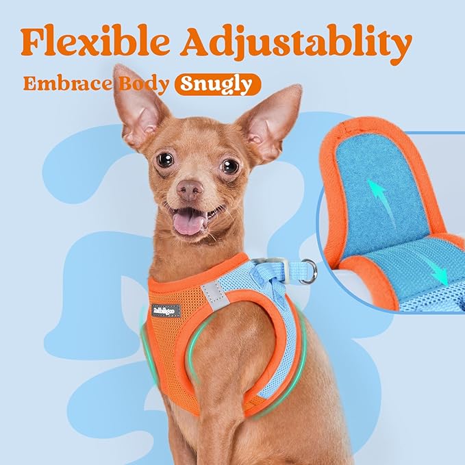 rabbitgoo Small Dog Harness, Step-in Soft Mesh Puppy Vest with Safety Buckle, Breathable Reflective Pet Harness for Large Dogs, Blue & Orange XXL