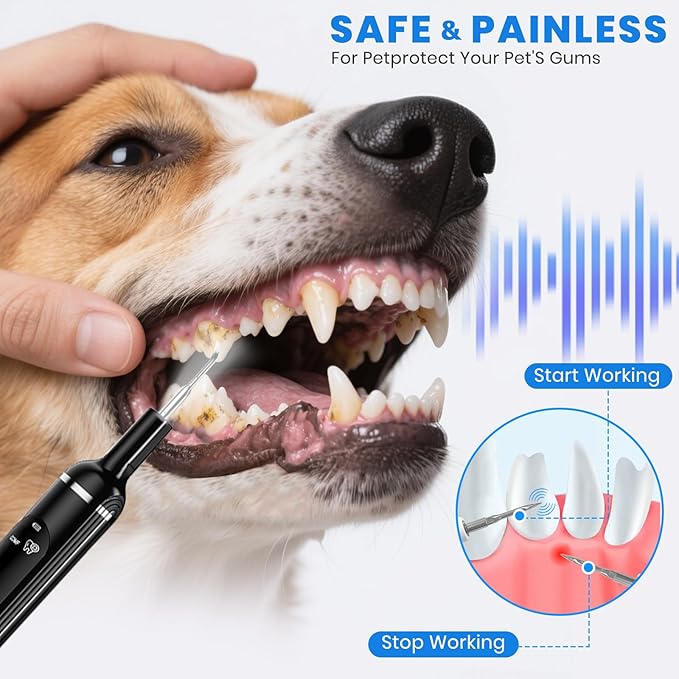 Dog Plaque Remover for Teeth,Pet Ultrasonic Tooth Cleaner with LED Light,Cleaning Kit for Tartar and Stains,5 Adjustable Modes,Pet Teeth Cleaning kit,Suitable for Dogs and Cats (Black)
