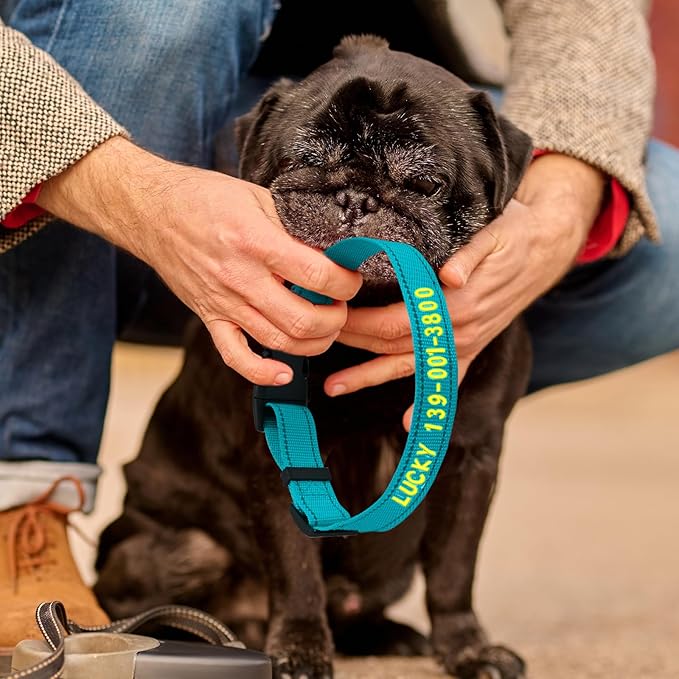 Personalized Embroidered Dog Collar - Custom Hand-Stitched Name & Number, Reflective Adjustable Pet Collar for Small/Medium/Large Dogs & Cats, Durable Nylon with Steel D-Ring (Orange, Medium)