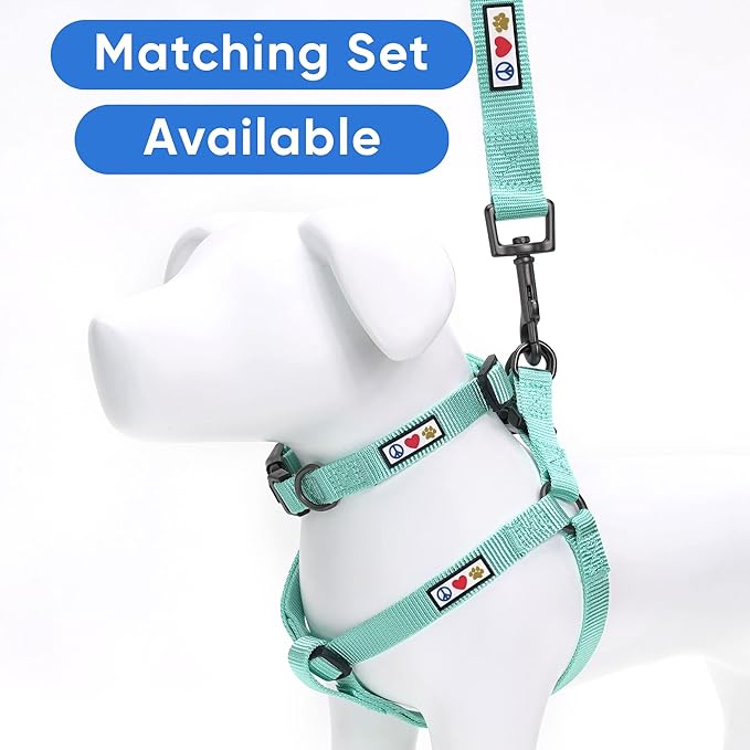Pawtitas Personalized Dog & Puppy Harness Small Teal Custom ID Tag Adjustable No Pull Vest