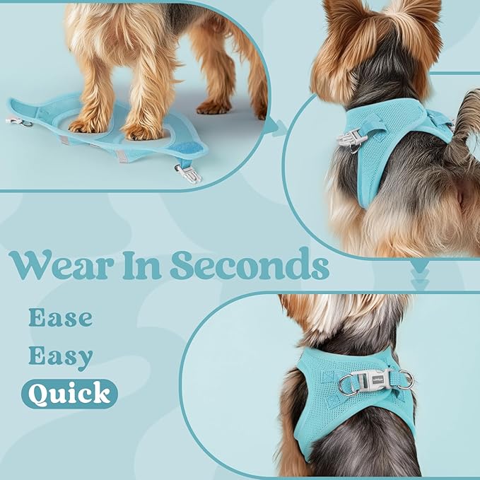 rabbitgoo Small Dog Harness, Step-in Soft Mesh Puppy Vest with Safety Buckle, Breathable Reflective Pet Harness for Extra Small Dogs, Mint Blue XXS