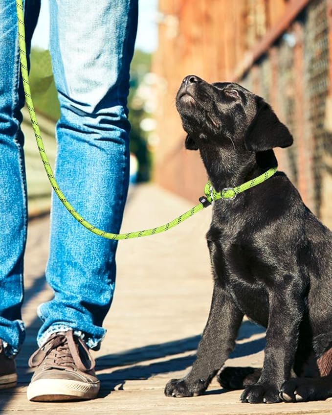 TagME Slip Leads for Dogs, 6 FT Heavy Duty Slip Leash with Padded Handle, Strong Rope No Pull Pet Training Leash for Small Dogs,Green