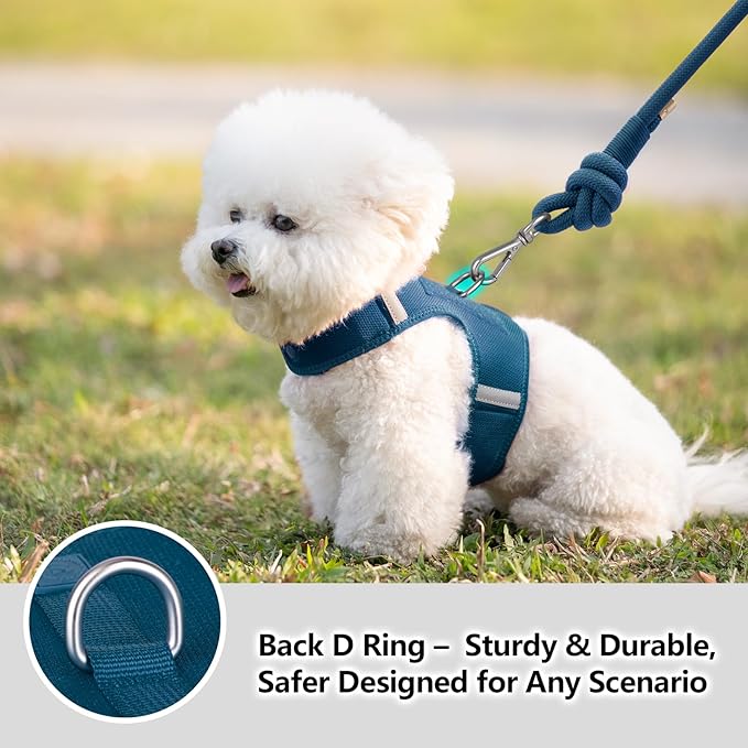 Dog Harness for Puppy – Adjustable Reflective Easy Put On Soft Mesh Vest for Small Dogs with 2 Patches (Prussian Blue,XXXS)