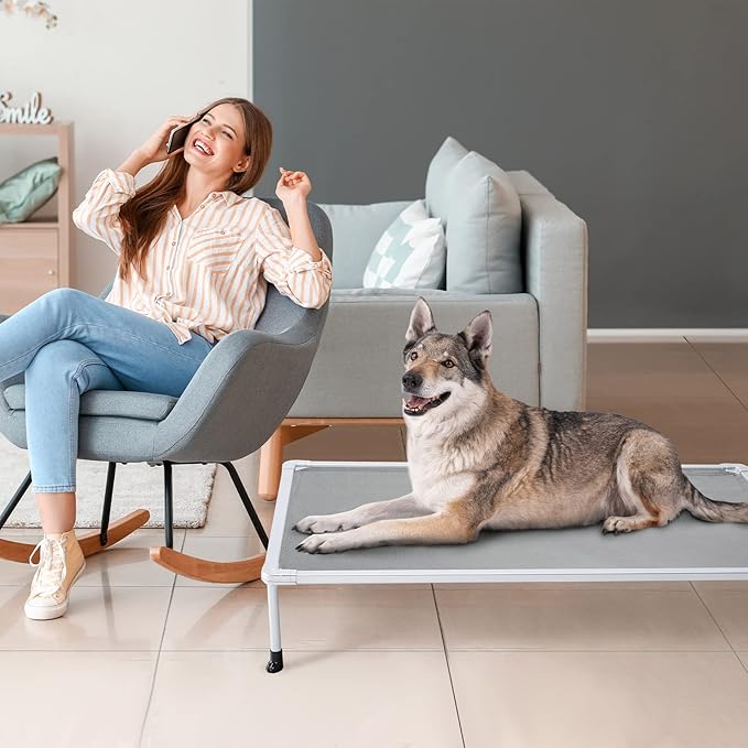 Veehoo Chewproof Elevated Dog Bed - Cooling Raised Pet Cot, Breathable Mesh, Washable & Non-Slip for Large Dogs, Indoor/Outdoor, Grey Mat and Silver Metal Frame, 49x33inches (Model CWC2203B03)
