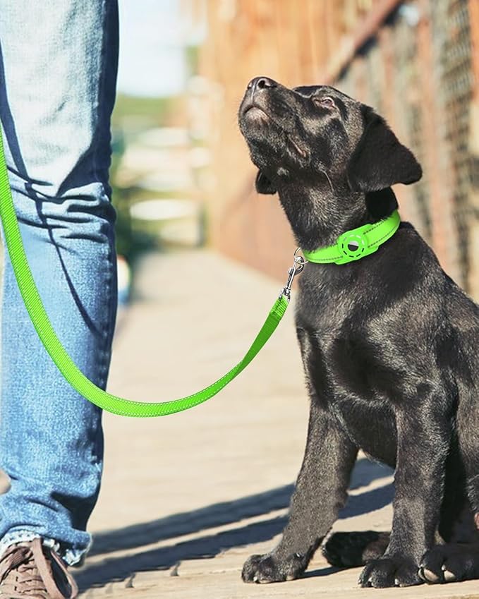 Erbine 4FT Reflective Nylon Dog Leash with Soft Padded Handle for Walking, Running and Training, Supports Small Medium and Large Dogs (Green, 1 Inch Wide)