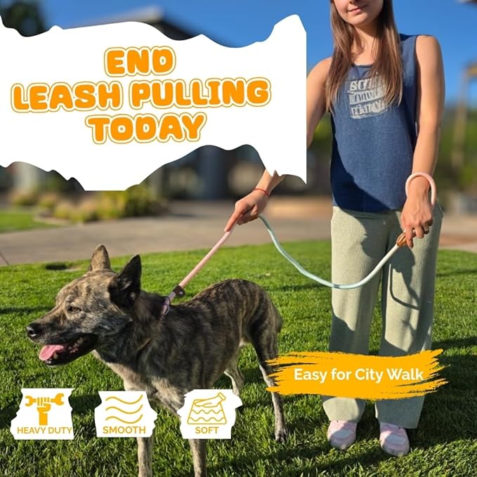 Dog Leash - Slip Leads for Dogs, 5 FT Pet Training Leash, Strong Heavy Duty Braided No Pull Loop Rope Training Lead Leashes for Small, Medium, Large Breeds, Pink & Blue