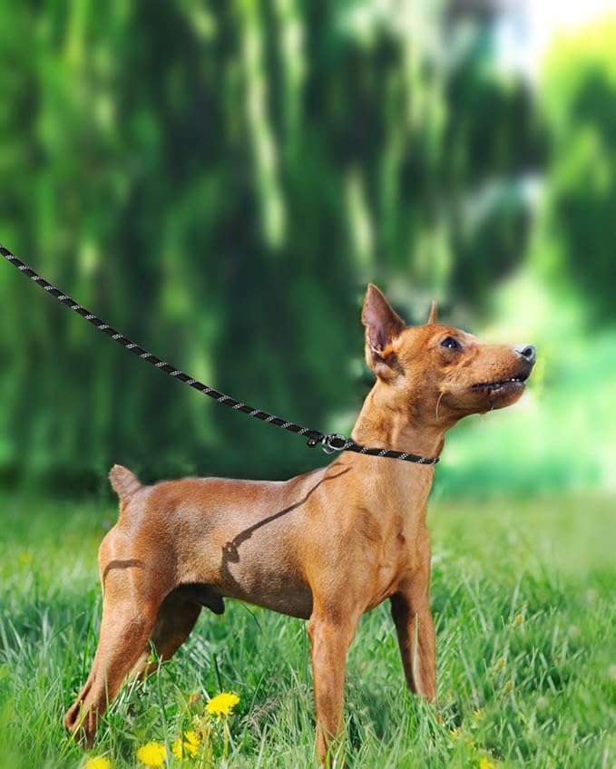 TagME Slip Leads for Dogs, 6 FT Heavy Duty Slip Leash with Padded Handle, Strong Rope No Pull Pet Training Leash for Small Dogs,Black