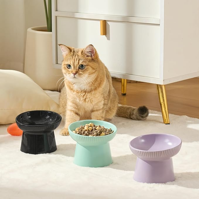 Ceramic Elevated Cat Bowls-Water Bowl, 15° Tilted Design, Anti-Vomiting & Spine Protection, Prevent Whisker Fatigue for Kittens to Adult Cats and Small Dogs (White-Elevated Cat Bowls-2)