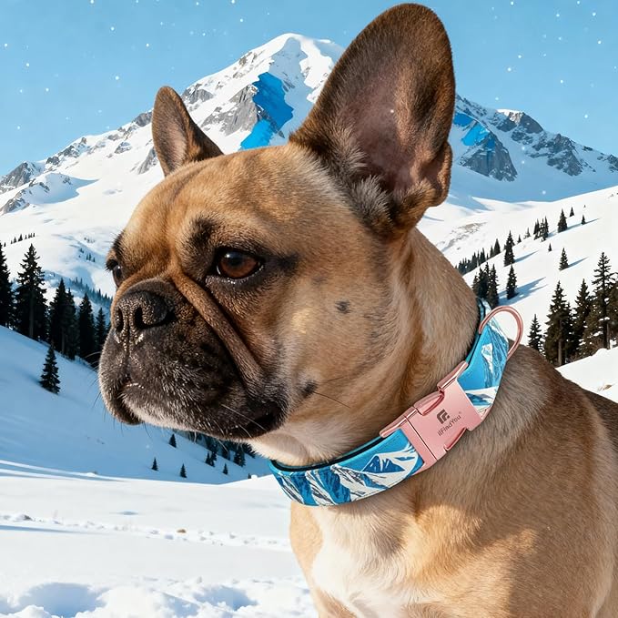 Dog Collar for Medium Dogs, Rocky Mountains Pattern, Heavyweight Polyester Adjustable Puppy Collar with Secure Metal Buckle，Suitable for Female Dogs M