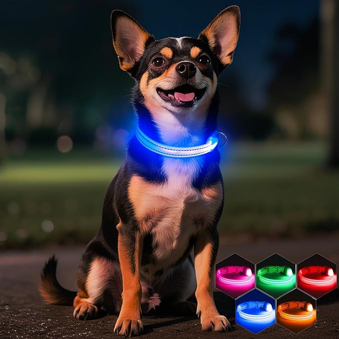 Light Up Dog Collar - Rechargeable Puppy Collar Glow in The Dark LED Dog Collar Lights for Small Dogs & Cats (X-Small, Blue)